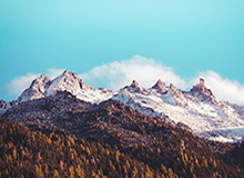 NBA官方实力榜：活塞领跑 马刺第二雷霆第三